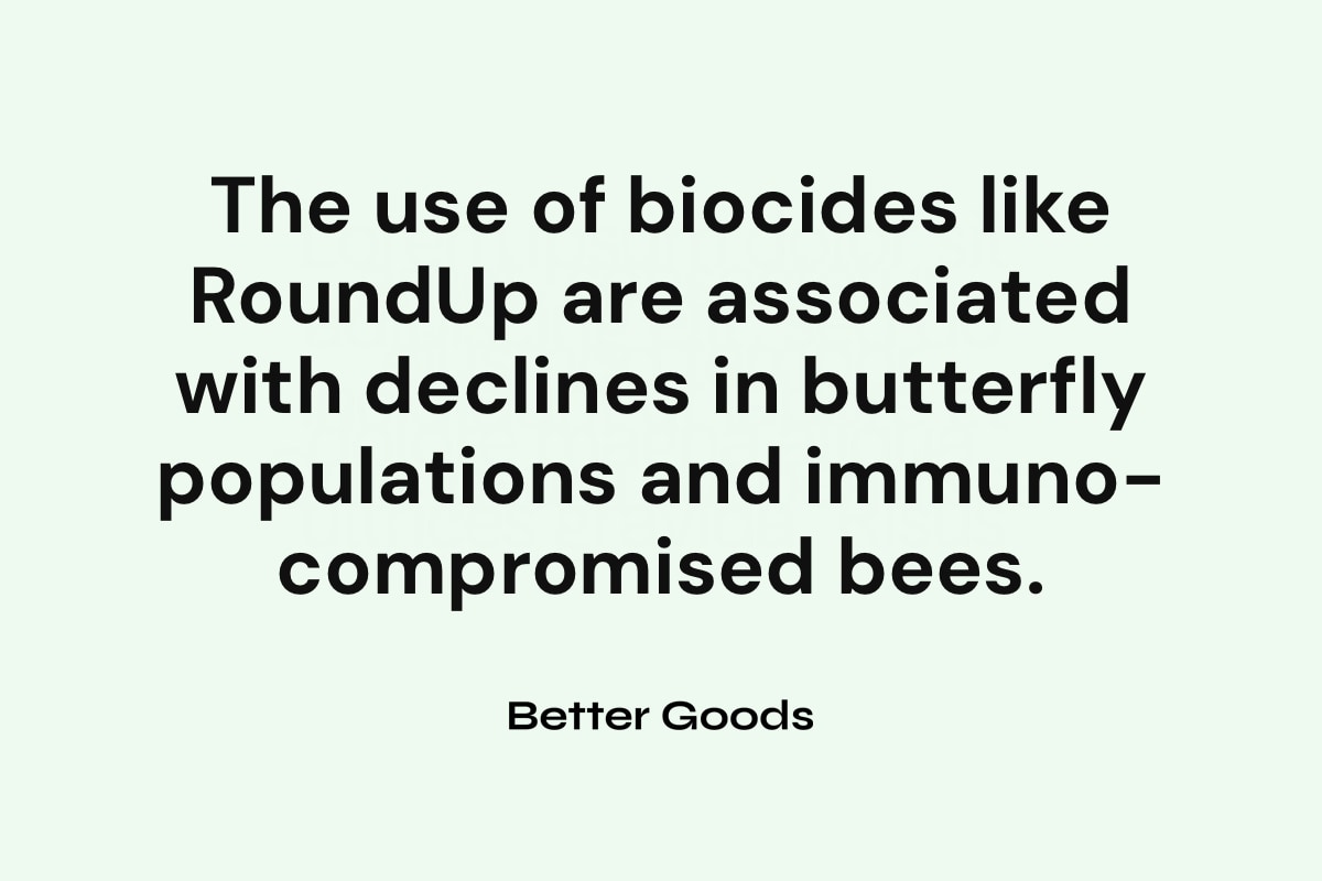 The 10+ Best NonToxic Weed Killers For A Greener Garden